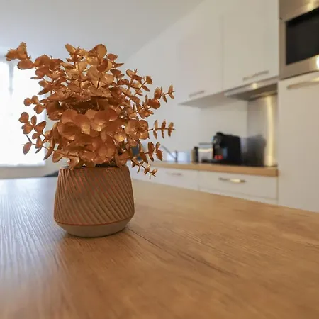 Dv6 Hyper-centre Metro A 3 Min * Toulouse